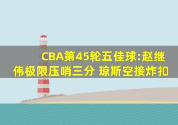 CBA第45轮五佳球:赵继伟极限压哨三分 琼斯空接炸扣